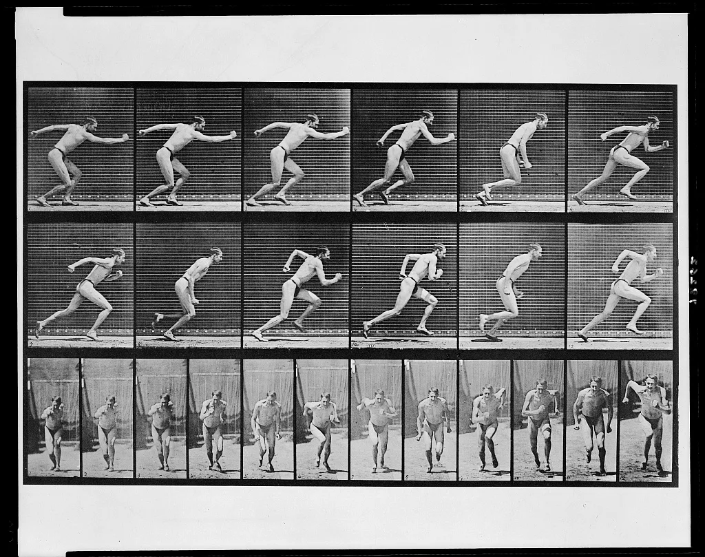 Animal Locomotion, 1887