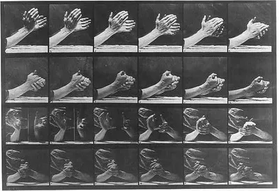 Animal Locomotion: [24 frames of hands clasping, plate 533], 1887