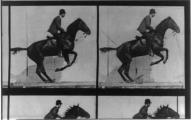 [Horse in motion, jumping], 1887