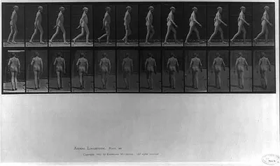 Animal Locomotion - side and rear views of boy walking (pl. 562), 1887