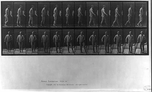 Animal Locomotion - side and rear views of man walking with cane (pl.…, 1887
