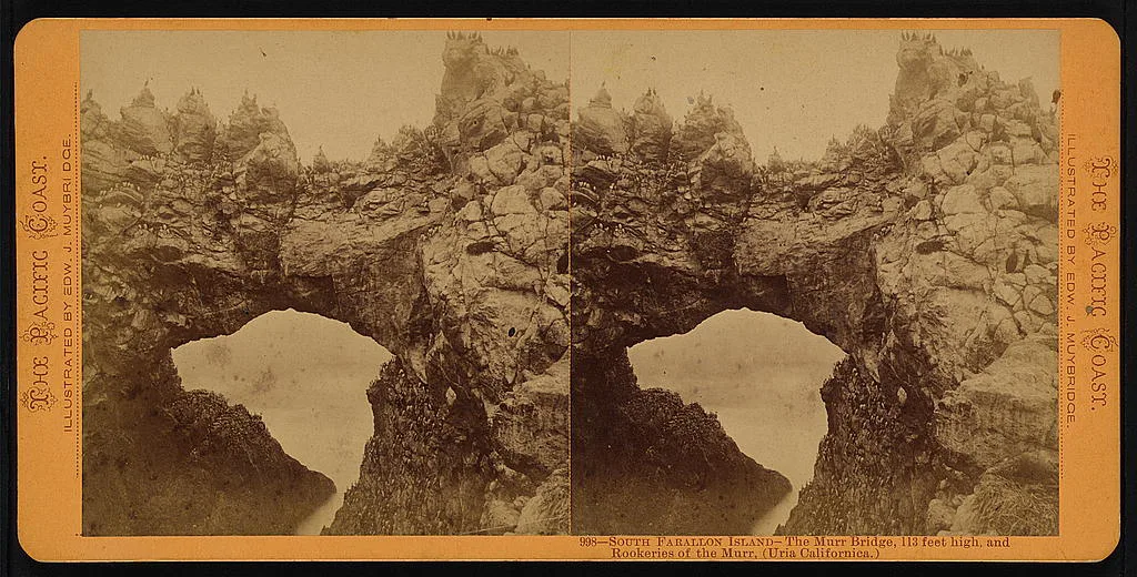 South Farallon Island - the Murr Bridge, 113 feet high, and rookeries…, California, Farallon Islands, 1870