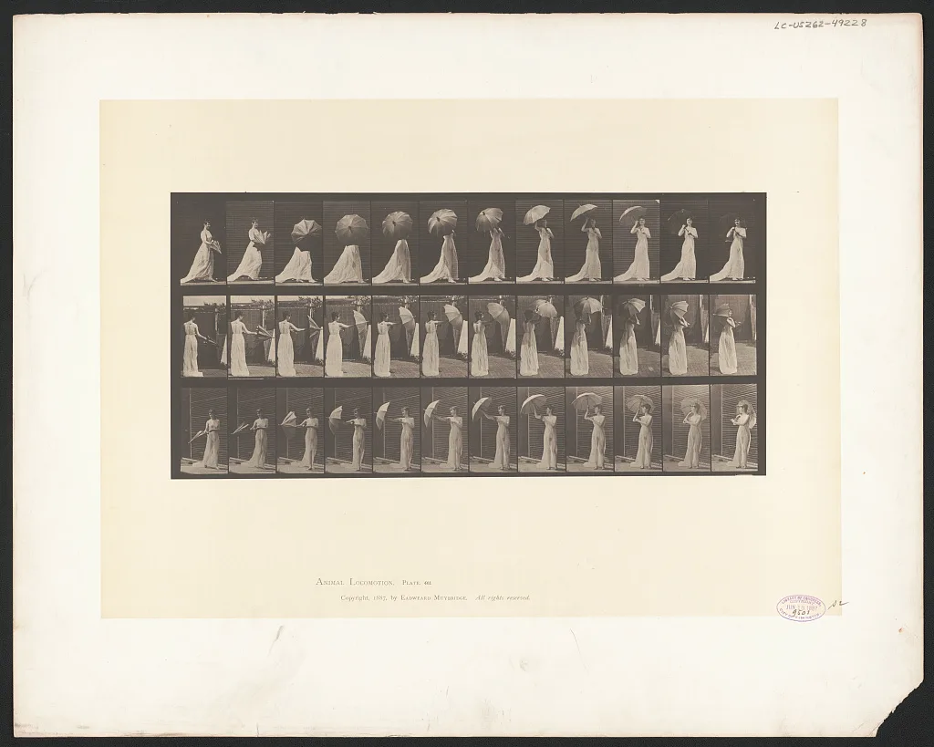 Animal locomotion. Plate 461, 1887