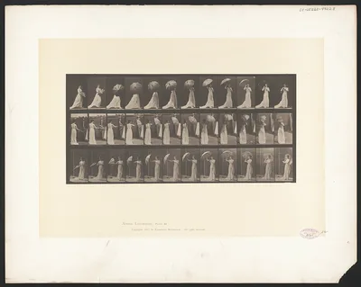 Animal locomotion. Plate 461, 1887