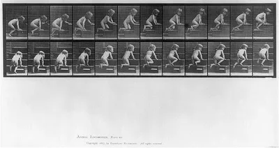 [Small girl crawling up steps], 1887
