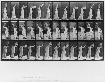 Animal Locomotion. Plate 41, 1887