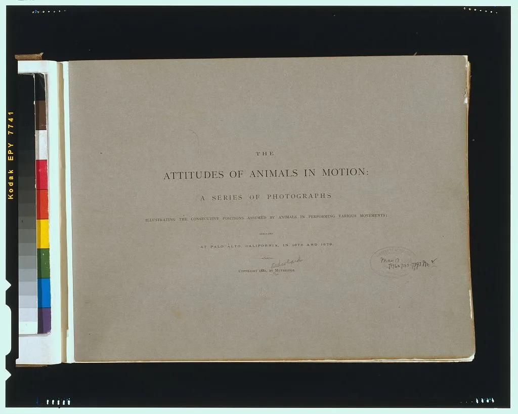 [Title page of  "The attitudes of animals in motion"], Palo Alto, California, 1881