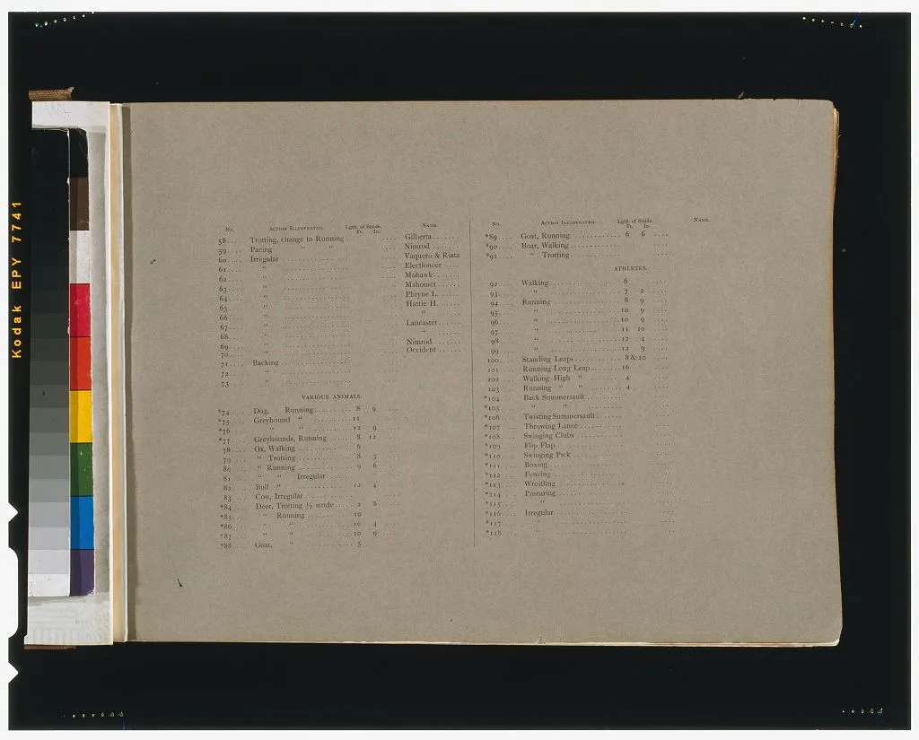 [Page of text with "Index of illustrations"  from "The attitudes of…, Palo Alto, California, 1881