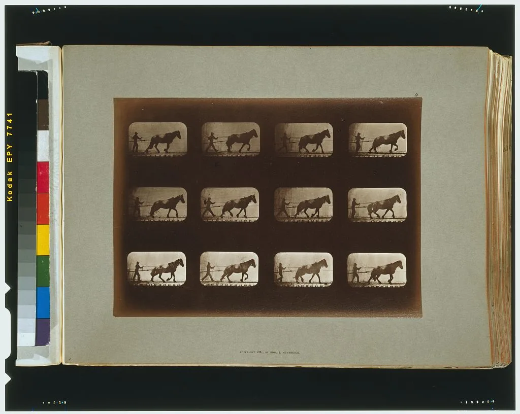 Horses. Hauling, Palo Alto, California, 1881