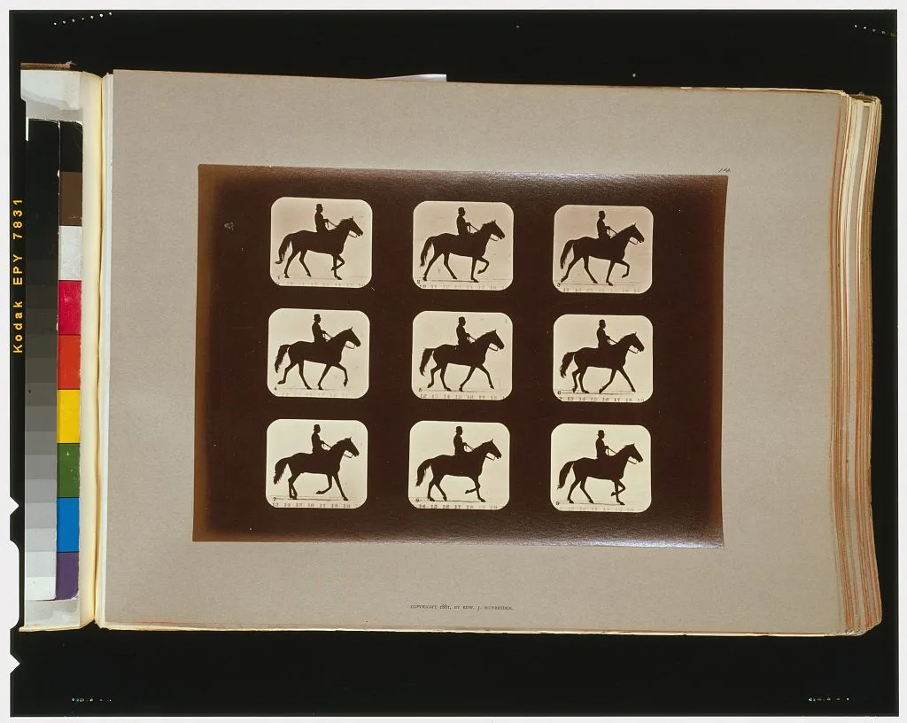 Horses. Ambling or single foot, Palo Alto, California, 1881