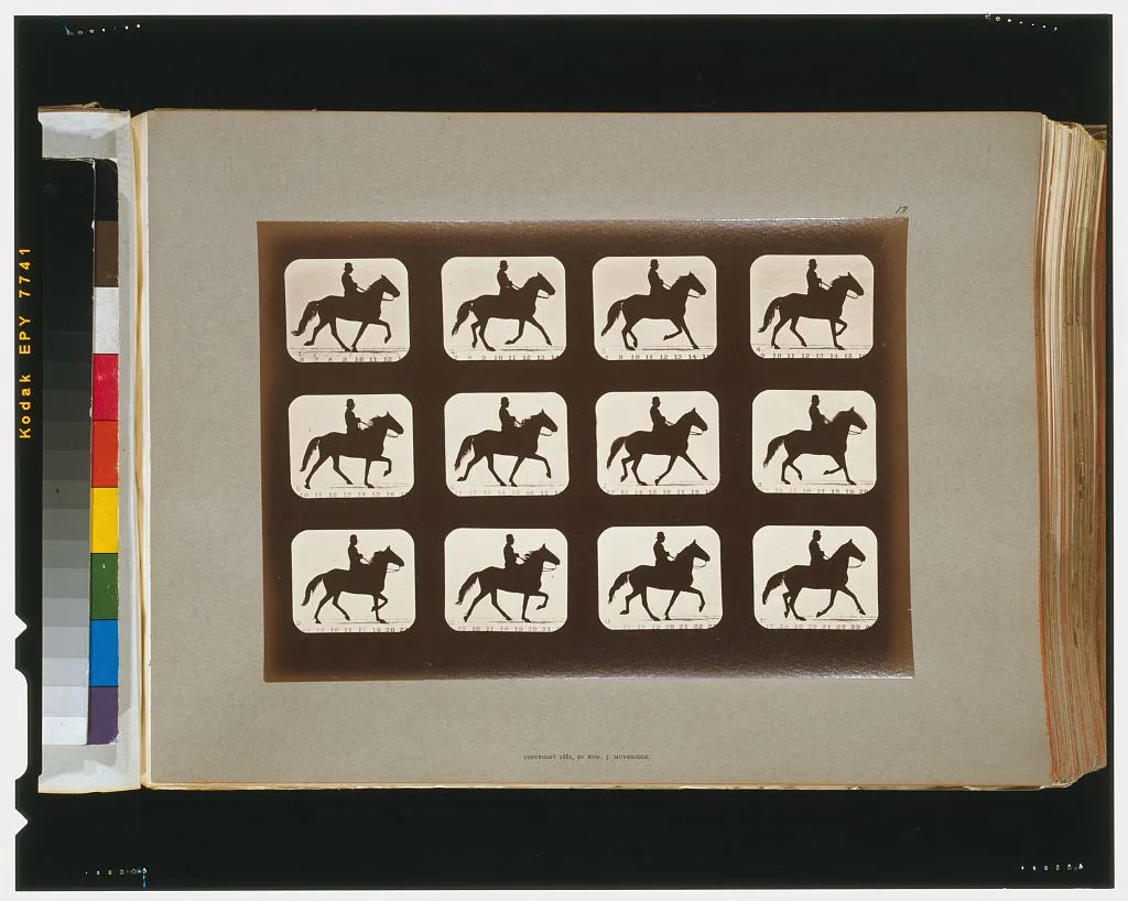 Horses. Ambling or single foot, Palo Alto, California, 1881
