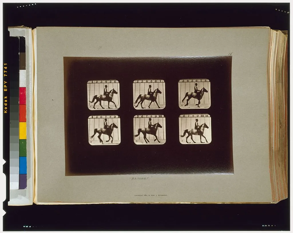 Horses. Cantering, Palo Alto, California, 1881