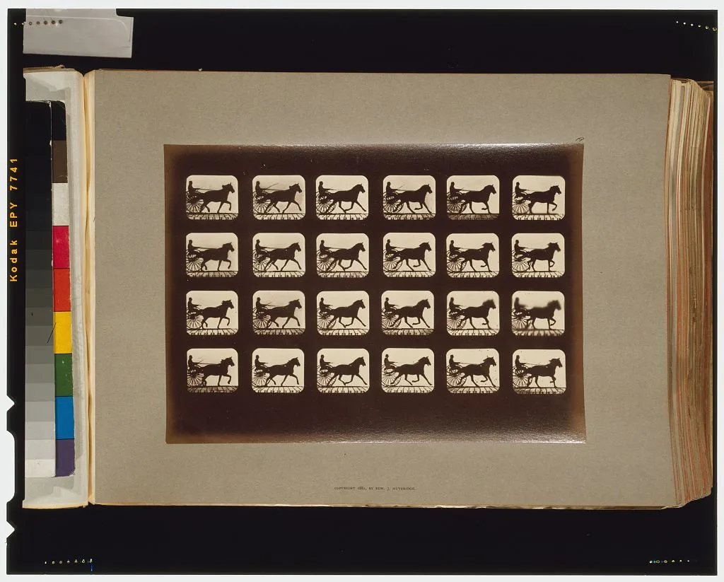 Horses. Pacing, Palo Alto, California, 1881