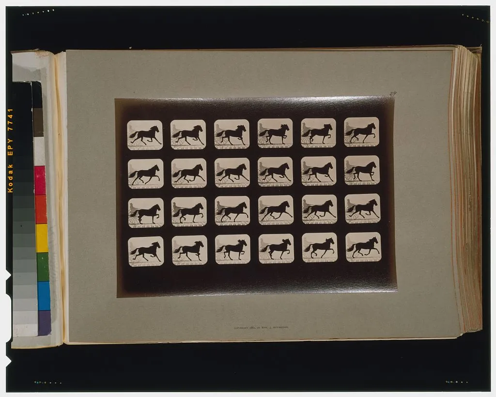 Horses. Trotting, Palo Alto, California, 1881