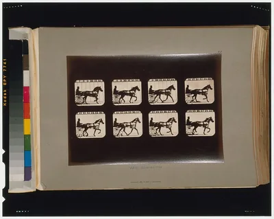 Horses. Trotting, California, Palo Alto, 1881