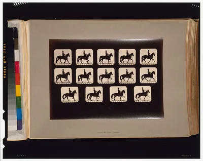 Horses. Trotting, Palo Alto, California, 1881