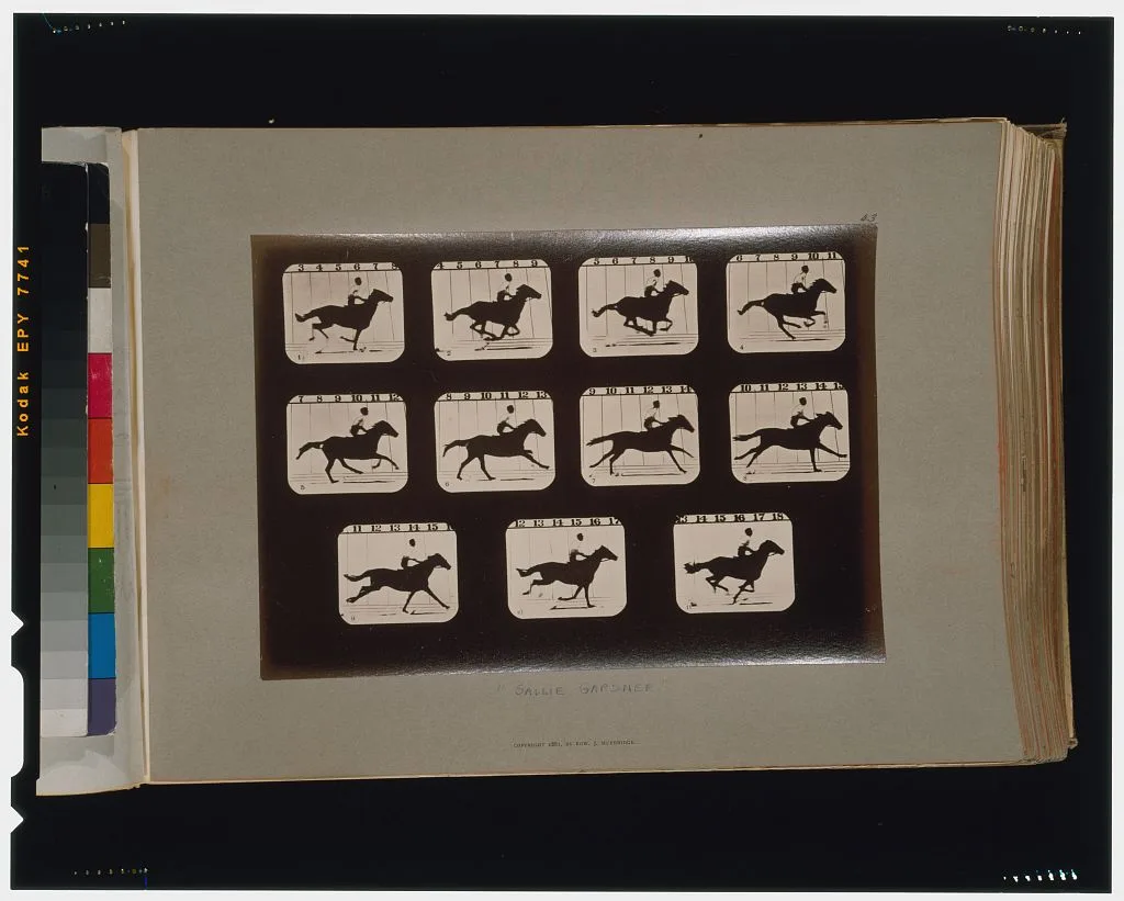 Horses. Running, Palo Alto, California, 1881