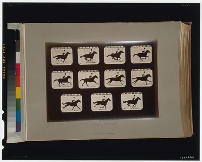Horses. Running, Palo Alto, California, 1881