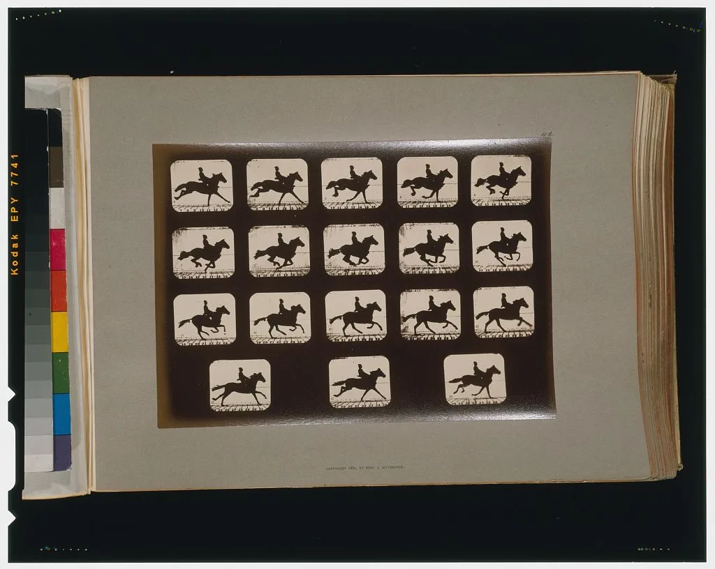 Horses. Running, Palo Alto, California, 1881