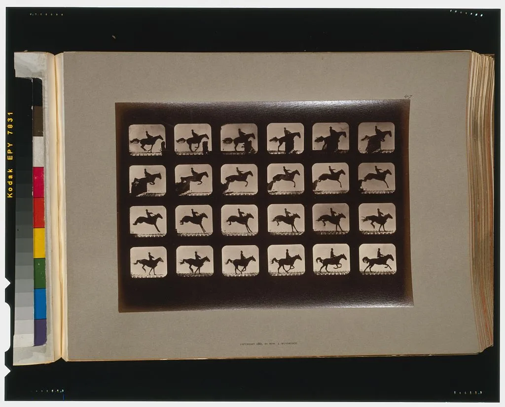 Horses. Leaping a 3 ft. 6 hurdle, California, Palo Alto, 1881