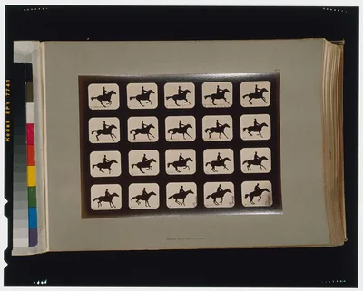 Horses. Leaping a 3 ft. 6 hurdle, Palo Alto, California, 1881
