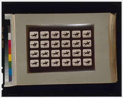 Horses. Running, Palo Alto, California, 1881