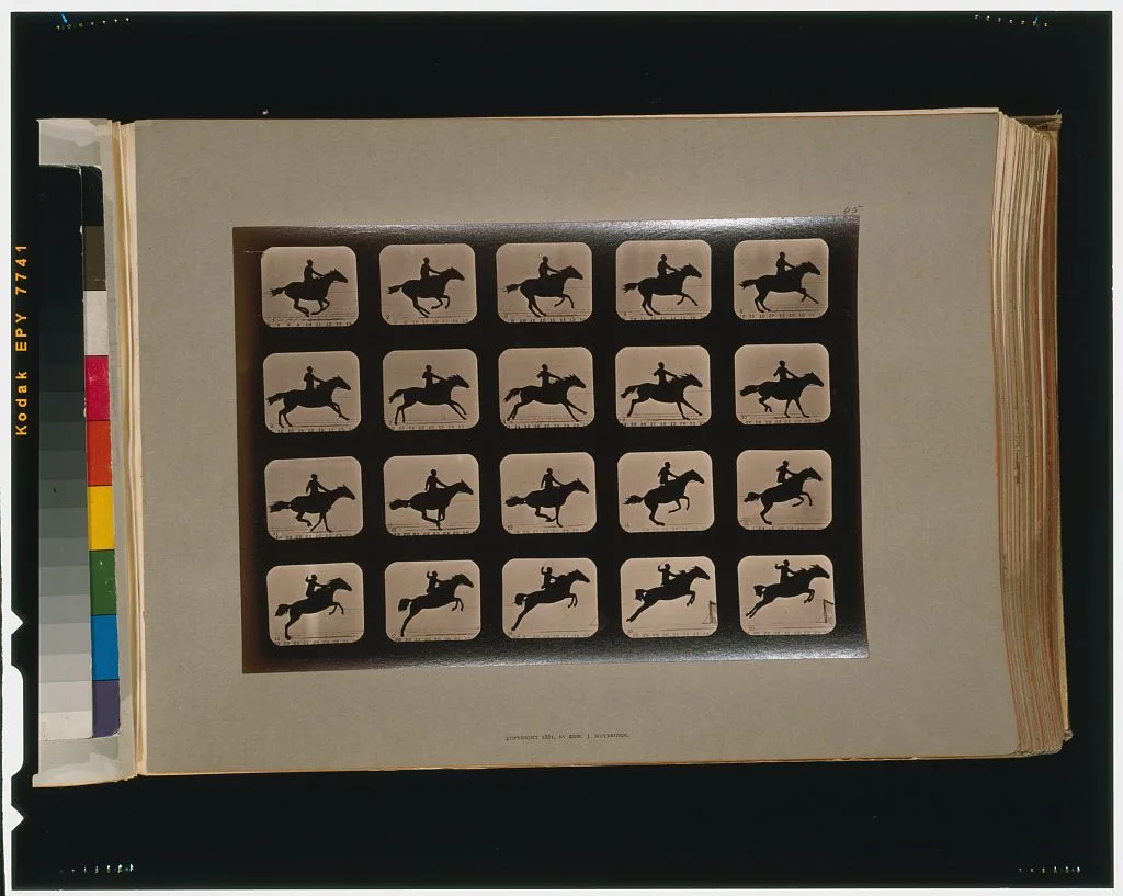 Horses. Leaping a 3 ft. 6 hurdle, California, Palo Alto, 1881