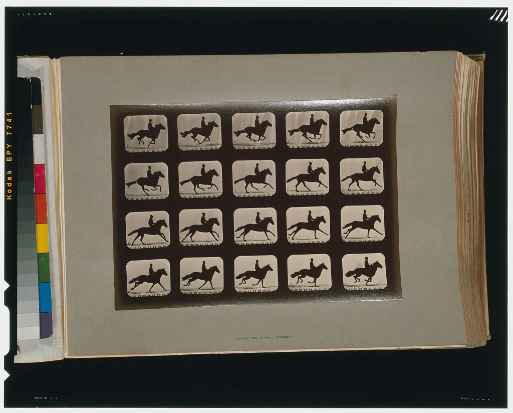 Horses. Running, California, Palo Alto, 1881