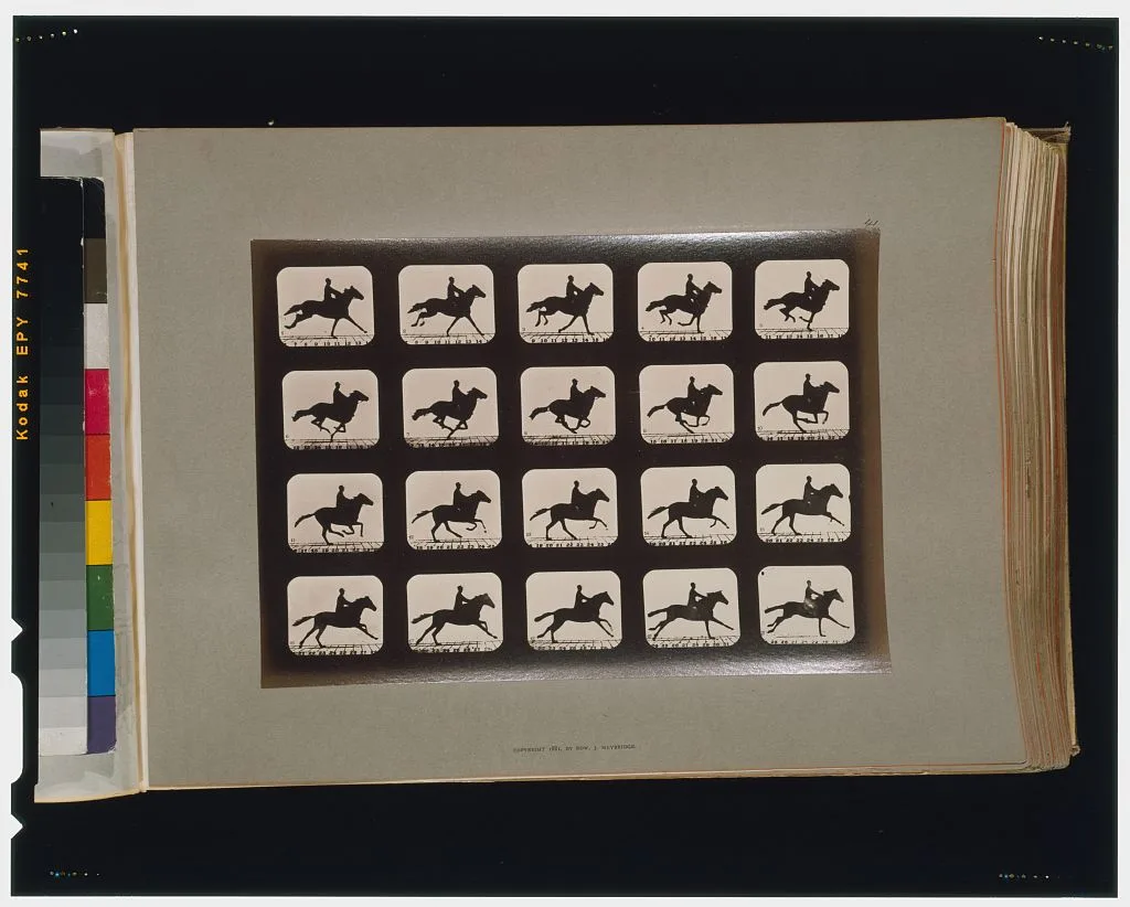 Horses. Running, California, Palo Alto, 1881