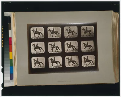 Horses. Walking, change to trotting, Palo Alto, California, 1881