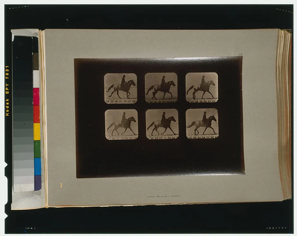 Horses. Irregular, Palo Alto, California, 1881