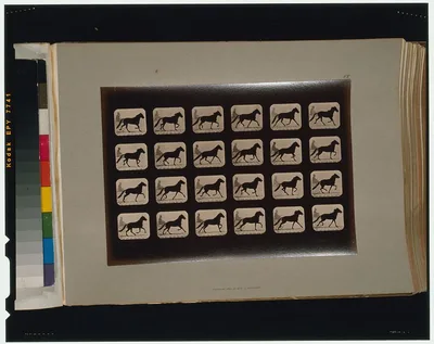 Horses. Trotting change to running, Palo Alto, California, 1881