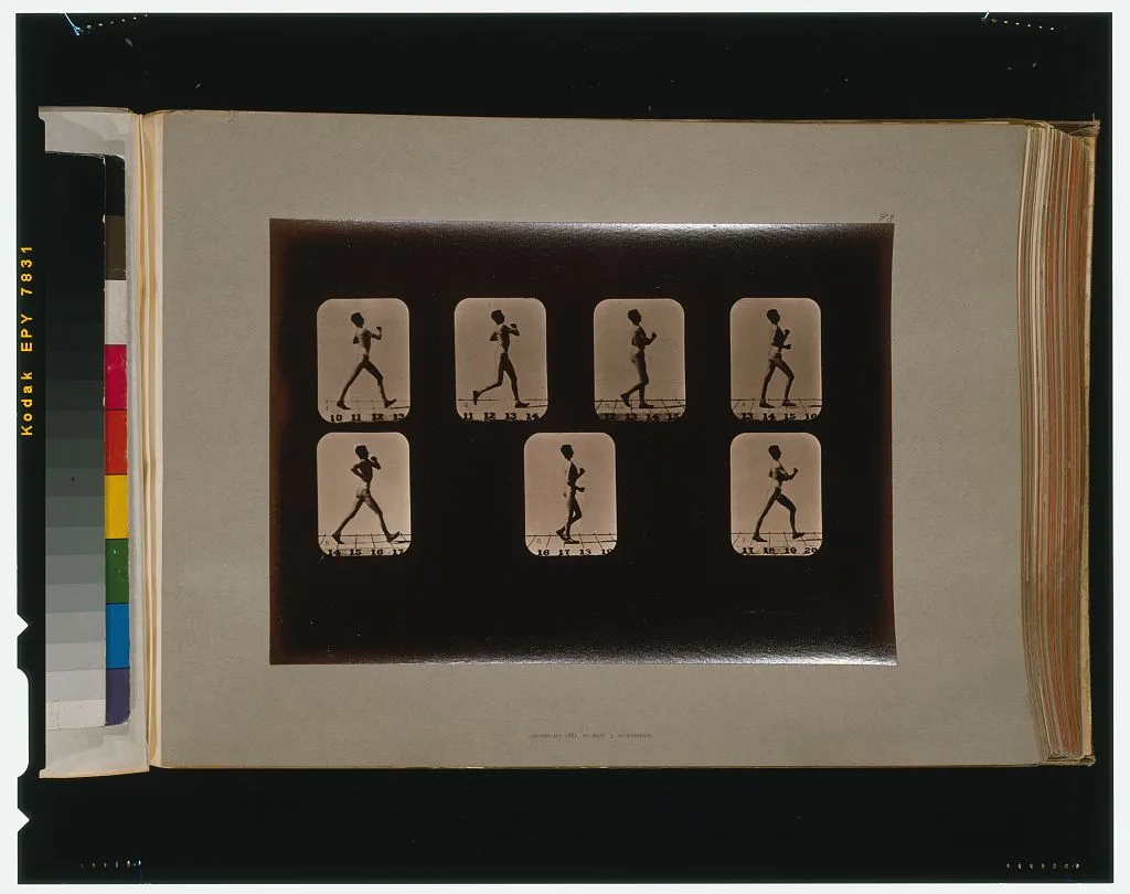 Athletes. Walking, Palo Alto, California, 1881