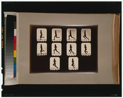 Athletes. Running, California, Palo Alto, 1881