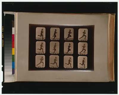 Athletes. Running, California, Palo Alto, 1881