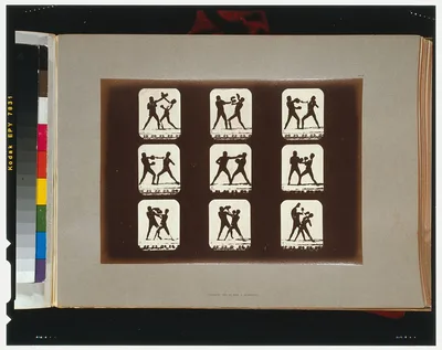 Athletes. Boxing, California, Palo Alto, 1881