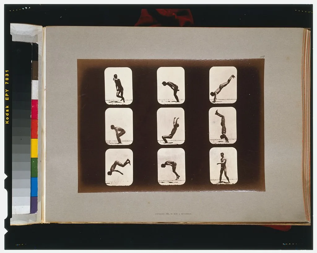Athletes. Irregular, California, Palo Alto, 1881