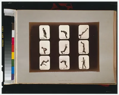 Athletes. Irregular, California, Palo Alto, 1881