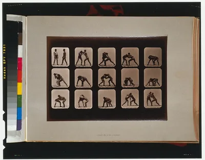 Athletes. Wrestling, California, Palo Alto, 1881