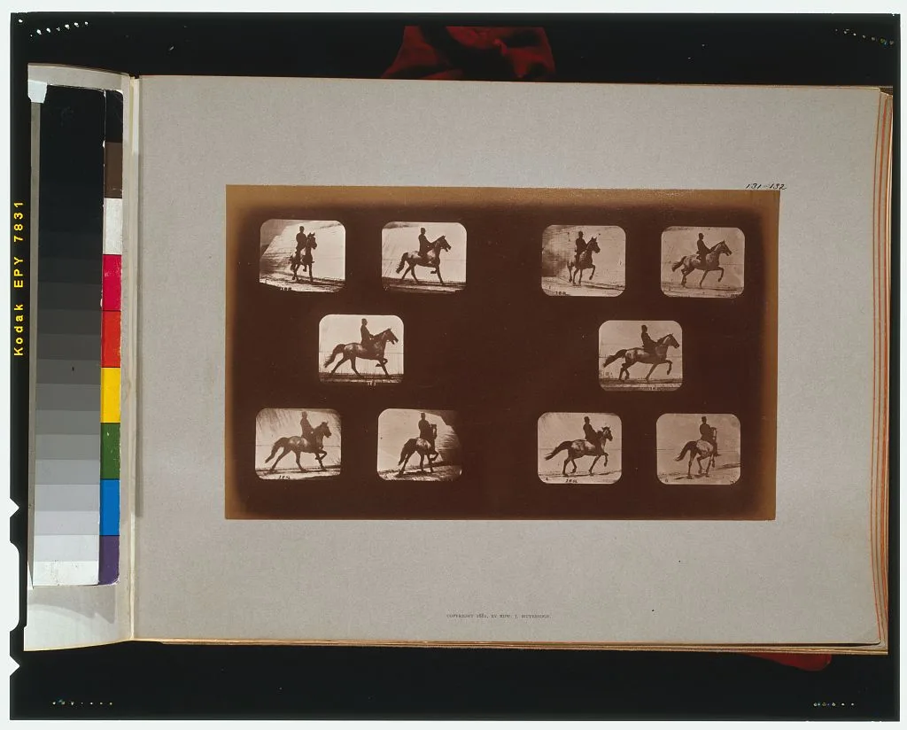 Horses. Trotting, California, Palo Alto, 1881