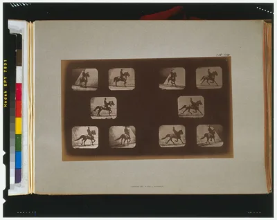 Horses. Trotting, California, Palo Alto, 1881