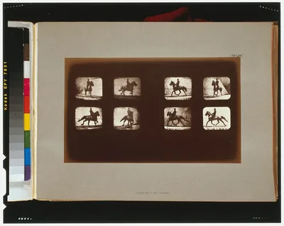 Horses. Trotting, California, Palo Alto, 1881