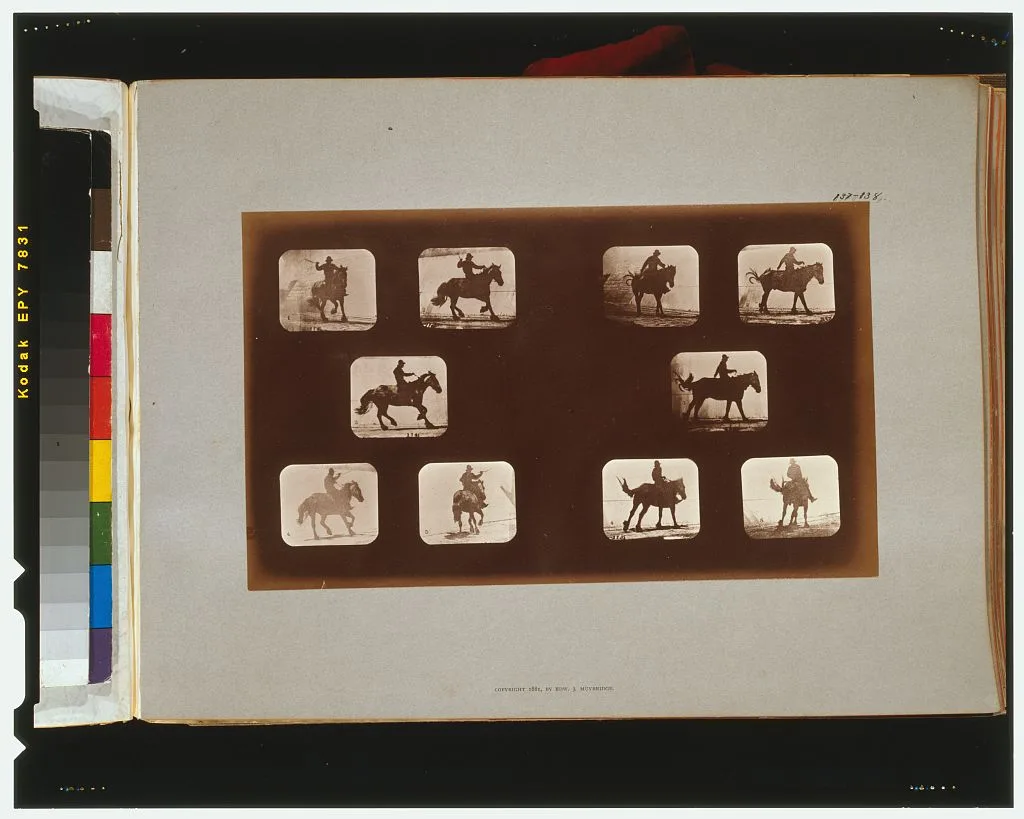 Horses. Running, California, Palo Alto, 1881