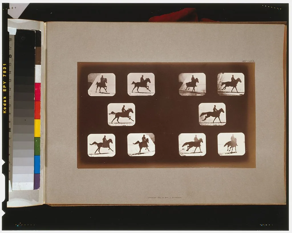 Horses. Running, California, Palo Alto, 1881