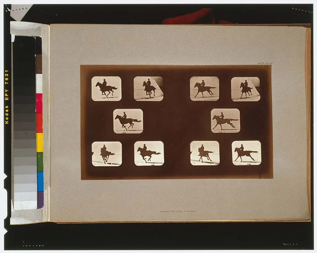Horses. Running, California, Palo Alto, 1881