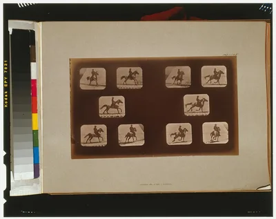 Horses. Running, California, Palo Alto, 1881