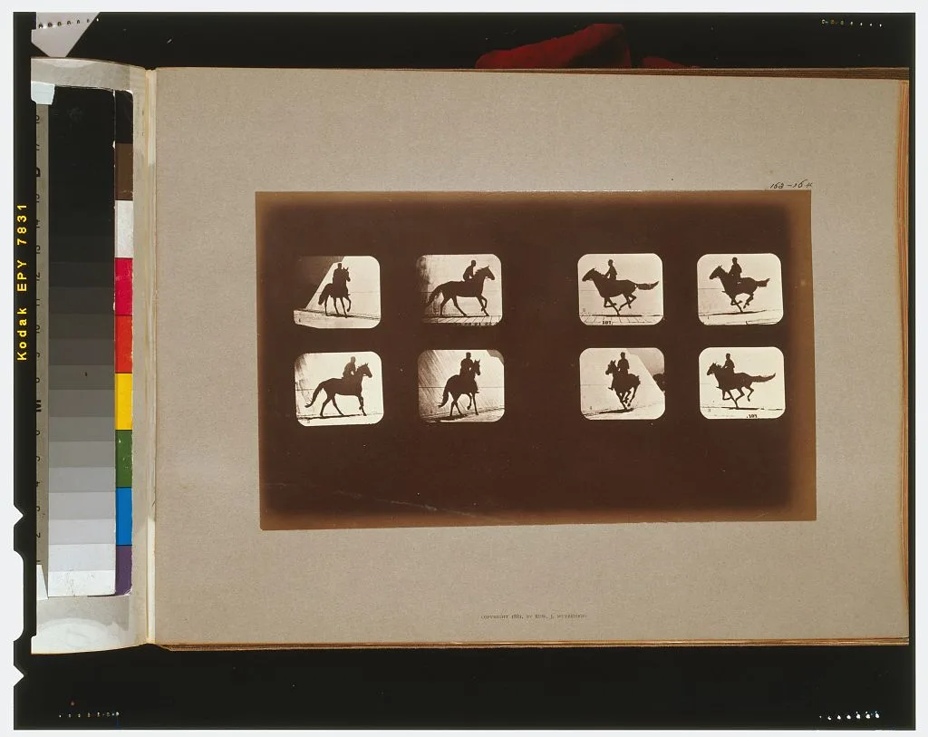 Horses. Running, California, Palo Alto, 1881