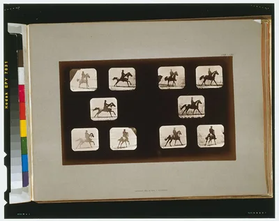 Horses. Running--Horses. Cantering, California, Palo Alto, 1881