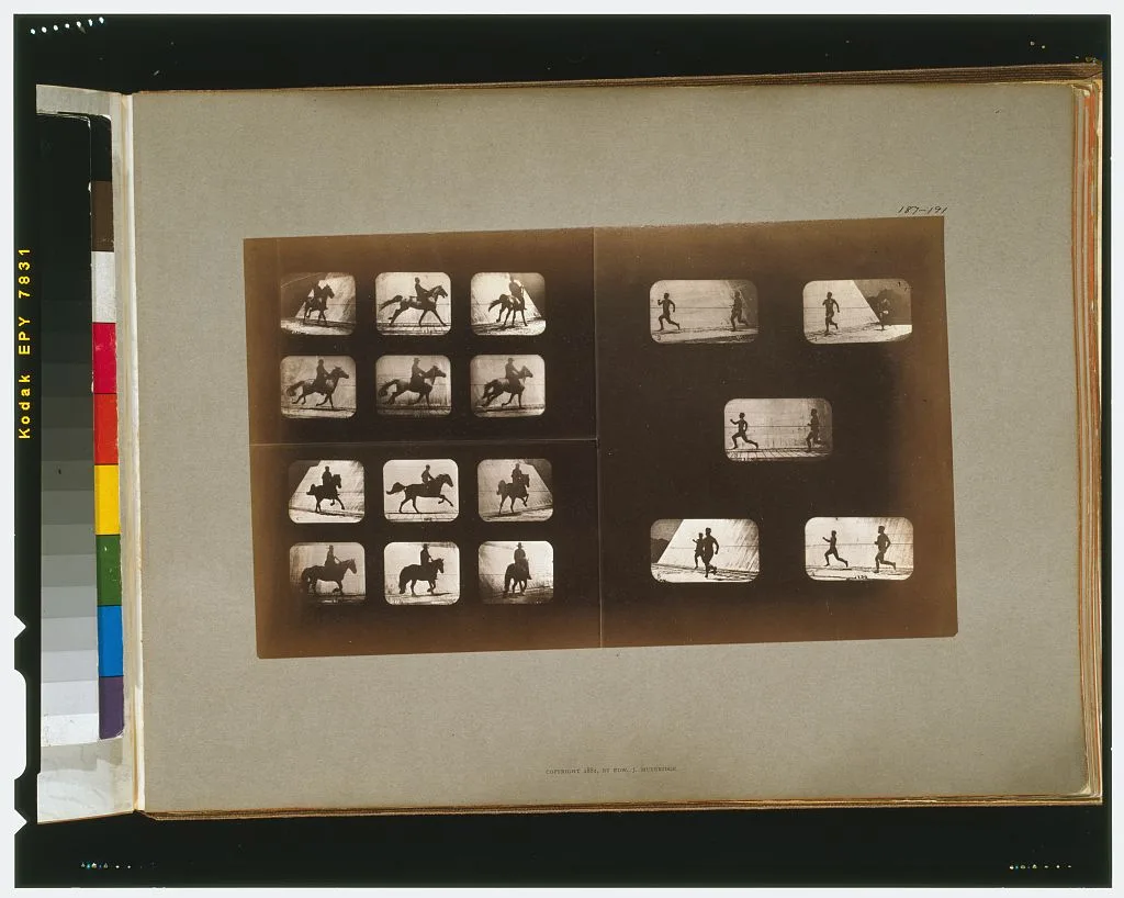 Horses. Running--Horses. Running--Horses. Running--Horses.…, Palo Alto, California, 1881
