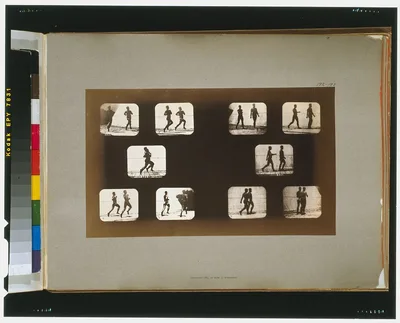 Athletes. Walking, California, Palo Alto, 1881